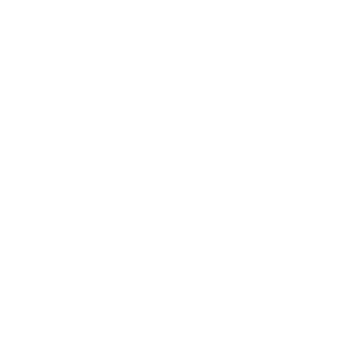 salt connector